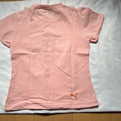 PUMA( Mサイズ)Tシャツセットの画像