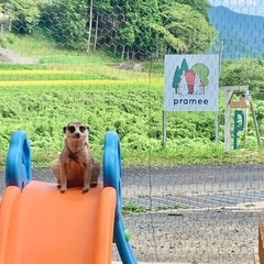 小動物と触れ合ってみませんか？