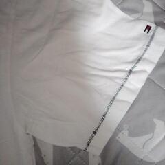 ＴＯＭＭＹ　HILFIGER Tｼｬﾂ　メンズの画像