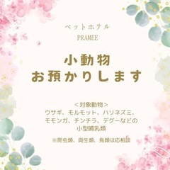 小動物のペットホテル