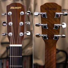 【決定】MORRIS M-01TS 2001年 極上の画像