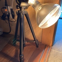 飴細工ランプの画像