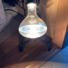 飴細工ランプの画像