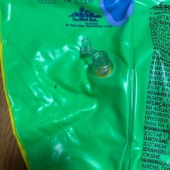 ワニ　プール、海、浮き輪の画像