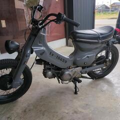 HONDAカブカスタムの画像