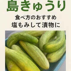 島野菜の画像