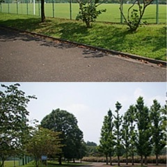 ママさんで運動公園でウォーキングしたり、水中ウォーキングに付き合ってくれる方(ﾉ)*´꒳`*(ヾ) − 茨城県