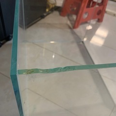 ADA 60cm 60 600 45 45cm 450 ガラス水槽 水槽 ガラスの画像