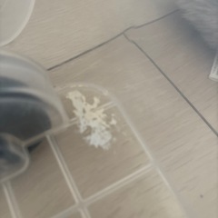 ケージの画像