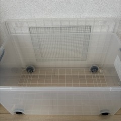 ケージの画像