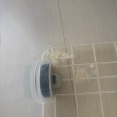 ケージの画像