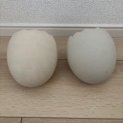ハムスター用品の画像