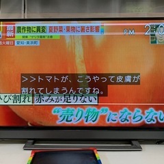 43型テレビわけあり