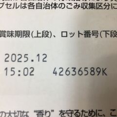海外・日本製品のサルベージ品　ネスカフェ　ドルチェグスト　リッチブレンドカプセル　３０カプセル入りの画像