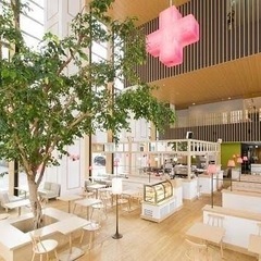 🍴【7月のおでかけのお知らせ】🥞
