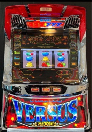 【Sバーサスリヴァイズ】オプション付き