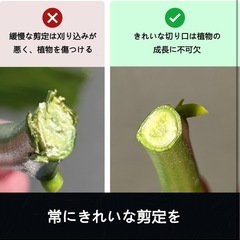 剪定バサミ 2段階調節可能 剪定鋏 女性用 園芸用はさみ フッ素コーティングの画像