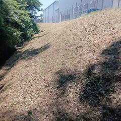 草の散髪屋
