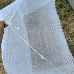 　交渉中　
赤ちゃん用蚊帳の画像