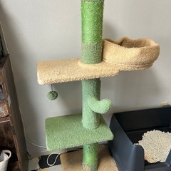 猫のキャットタワーの画像