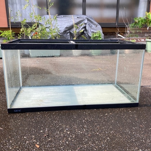90センチ水槽