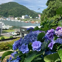 旅行に出かけませんか？
