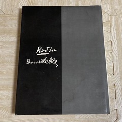 現代世界美術全集の中古が安い！激安で譲ります・無料であげます