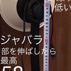 レトロ懐かしい電気スタンド使用可usedブラック×クリーム色の画像