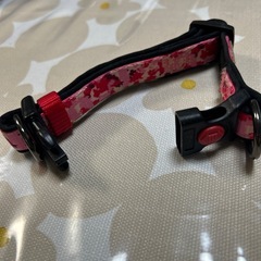 小型犬、中型犬用首輪の画像