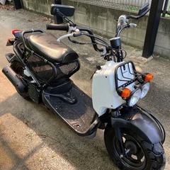 丁度良いズーマーの画像