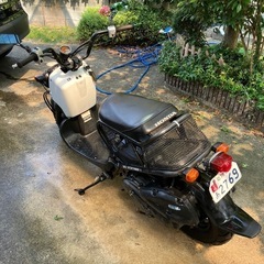 丁度良いズーマーの画像