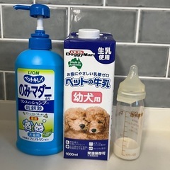 保護猫　生後2週間くらい − 茨城県
