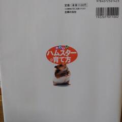 かわいいハムスターの育て方の画像