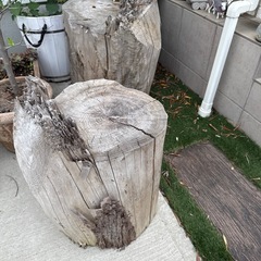 大きい丸太と中くらいの丸太の画像