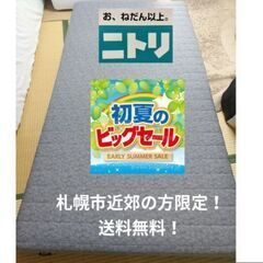初夏のビックセール！札幌市近郊にお住まいの方限定！送料無料！ニト...