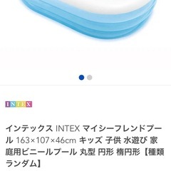 家庭用ビニールプールの画像