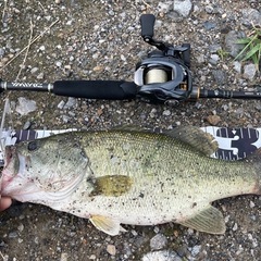 バス釣りの友達 探してます