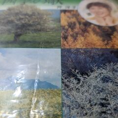 （中古EPレコード）天使のささやき−スリー・ディグリーズ（8）