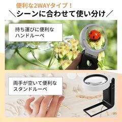 ルーペ スタンド【箱潰れ】の画像
