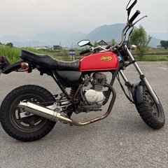 エイプ50の画像