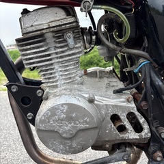 エイプ50の画像