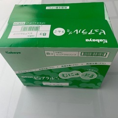 Kabaya ピュアラルグミ　りんご８袋セットの画像
