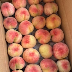 桃、フルーツ、果物