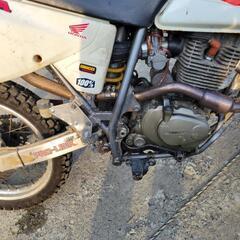 HONDA  XLR125改の画像