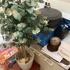 観葉植物(造花)