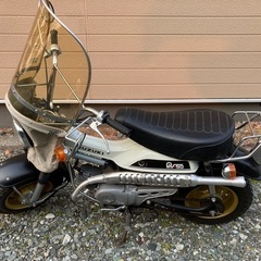 VAN VAN50の画像