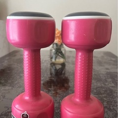 Body Sculpture 1.5KG ピンクダンベルの画像