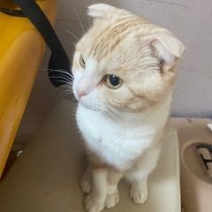 誰かいましたら。