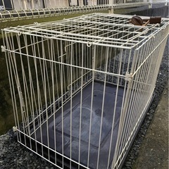 猫ゲージ、爪研ぎケース、猫トイレ、給水器 の画像