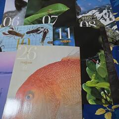 本のみ週刊日本の天然記念物動物編の画像